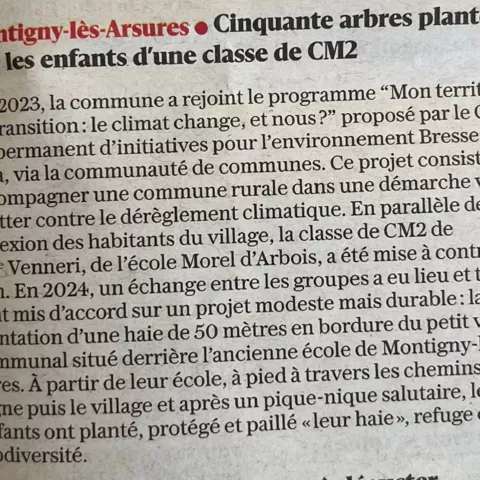 Plantation d'une haie 